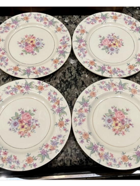 Haviland Other - Vintage Theodor Haviland "Springtime" (New York) Salad Plate 7 1/2" set of 8
